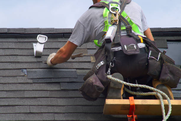 Best Roof Gutter Cleaning  in Jerseyvle, IL