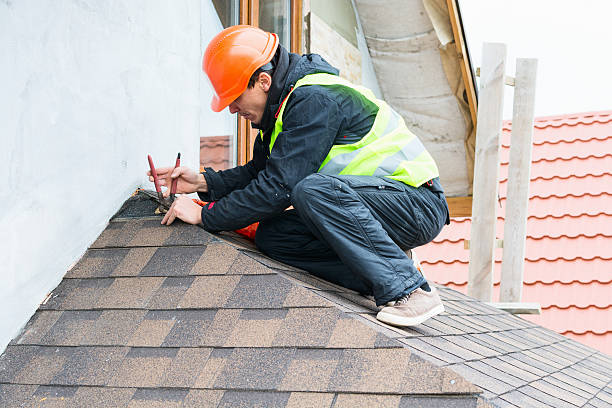 Best Roof Gutter Cleaning  in Jerseyvle, IL