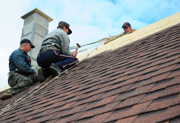 Best Best Roofing Contractors  in Jerseyvle, IL