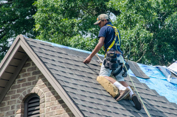 Best Roof Waterproofing Services  in Jerseyvle, IL