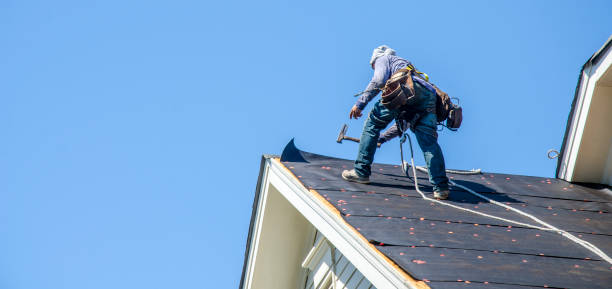 Best Shingle Roofing Installation  in Jerseyvle, IL
